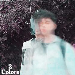 2 Colors