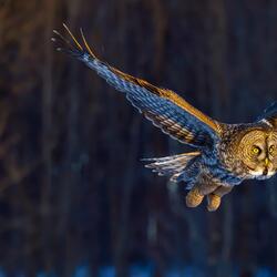 It looks like you're exploring