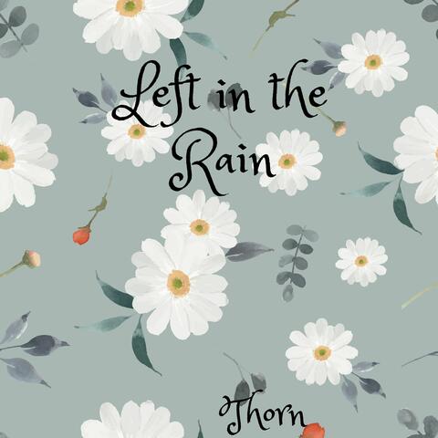 Left in the Rain