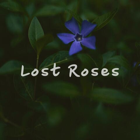 Lost Roses