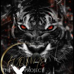 Bullets Bad Fi Di Health