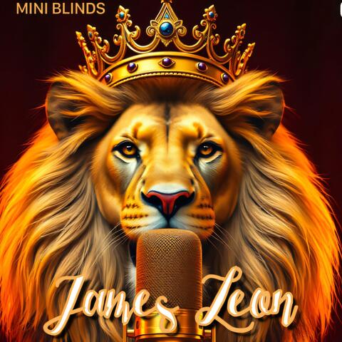 Mini Blinds