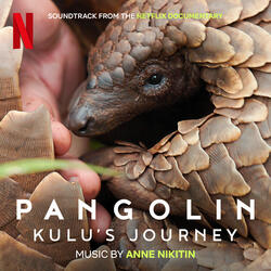 What is a Pangolin?
