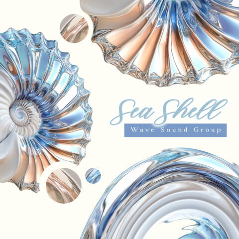 Sea Shell