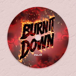 Burn It Down