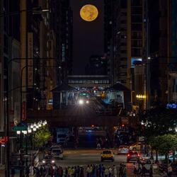 DON’T TRUST U HOES