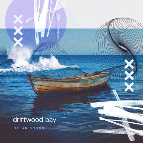 Driftwood Bay