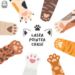 Laser Pointer Chase