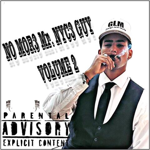 No More Mr. NYCe Guy Volume 2
