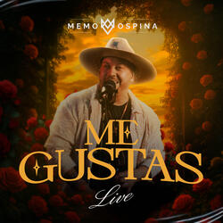 Me Gustas