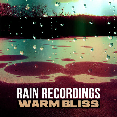Warm Bliss
