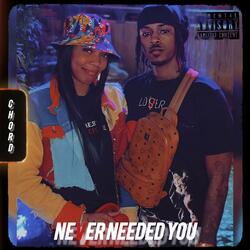 Never Needed You