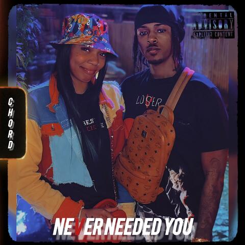 Never Needed You