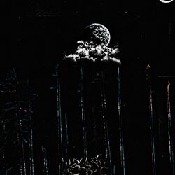 Whispers From The Waters Edge