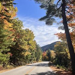 autumn & everything after