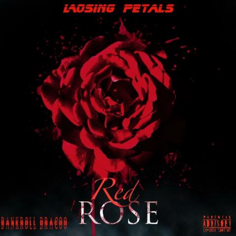 Losing Petals