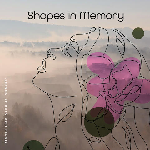 Shapes in Memory