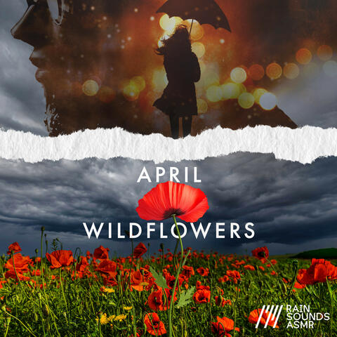 April Wildflowers