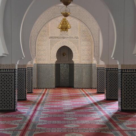 الله الله دابا يحن مولانا