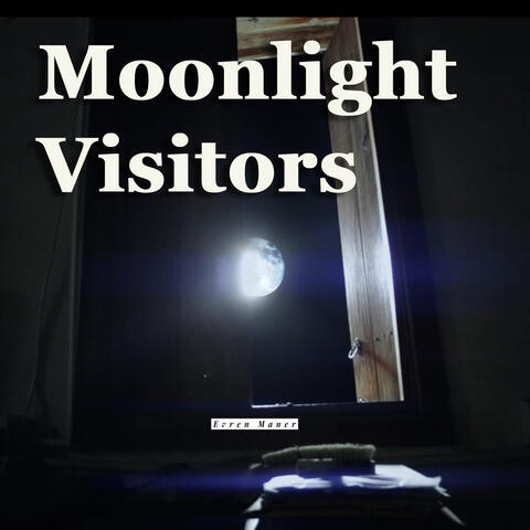 Moonlight Visitors