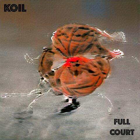 Full Court