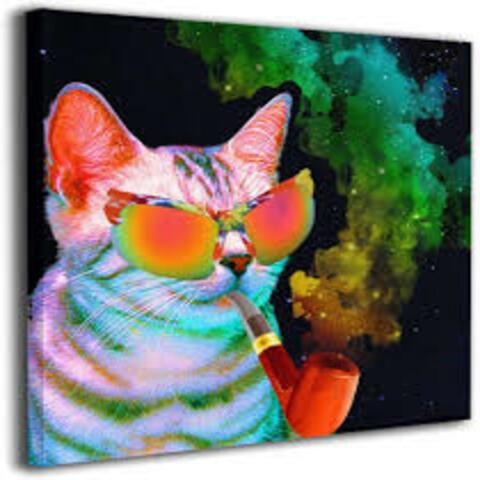 Scintilla - THC: The House Cat