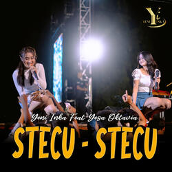 Stecu Stecu