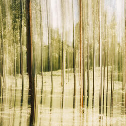 Bagogazi Upset Matter