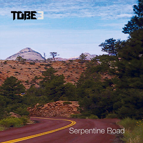 Serpentine Road