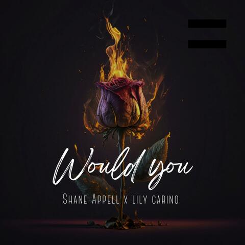 Would You