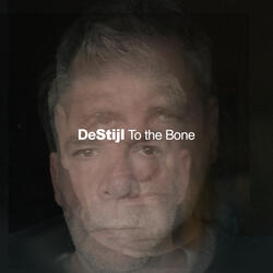 TO THE BONE (SOLAR WIND)