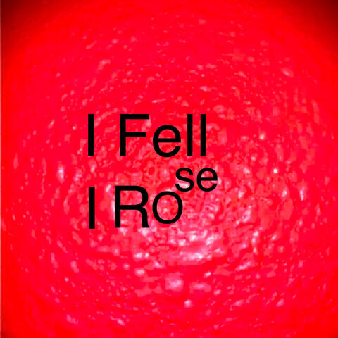 I Fell I Rose
