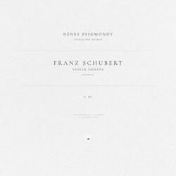 Violin Sonata in D Major, D. 384: I. Allegro molto