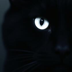 Elegy for a Real One