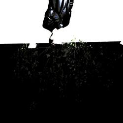 M.M