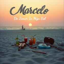 De Zomer In Mijn Bol