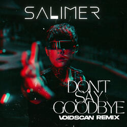 Don't Say Goodbye (Voidscan Remix)