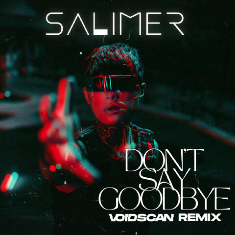 Don't Say Goodbye (Voidscan Remix)
