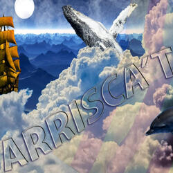 Arrisca't