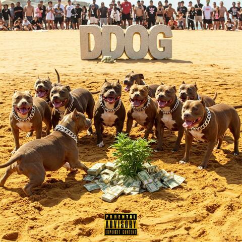 DDOG Na House B!