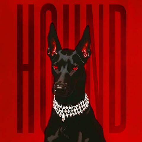 Hound