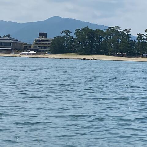 微笑がえし