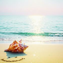 The Beginning of Summer