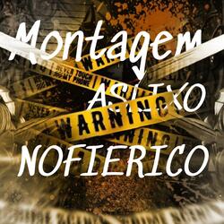 MONTAGEM ASLIXO NOFIERICO