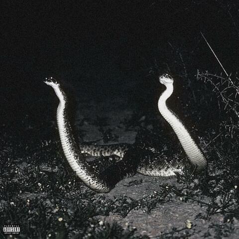 Diamondback