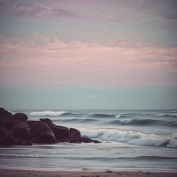 Without Home