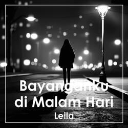 Bayanganku di Malam Hari