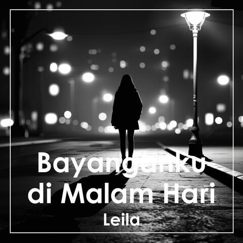 Bayanganku di Malam Hari