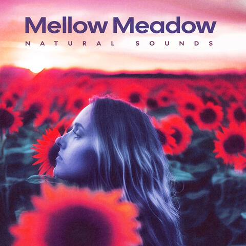 Mellow Meadow