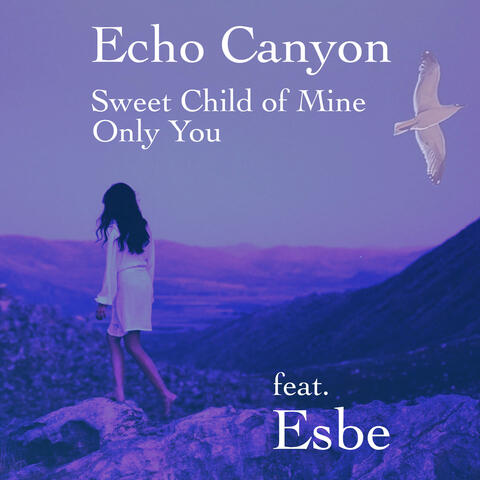 Echo Canyon (Sweet Child Of Mine, Only You)